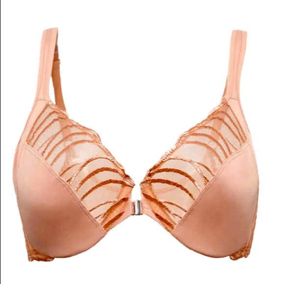 Paramour Other - SOLD!🥳Paramour Angie Front Silver Hook Closure Minimizer Bra 34H